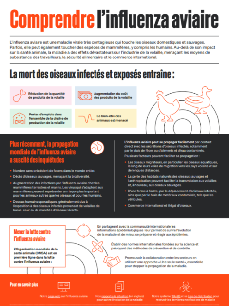 Comprendre l’influenza aviaire