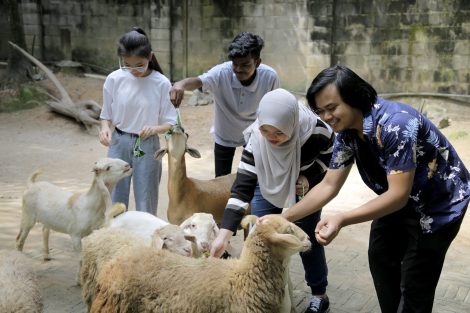 WOAH 100th_group of young people happily feeding sheep