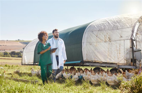 WOAH's commitment to animal health_two vets looking at the sky