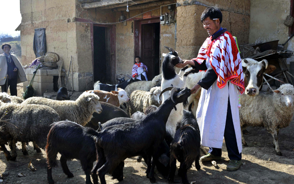 animal health anniversary - a veterinarian taking care of animals