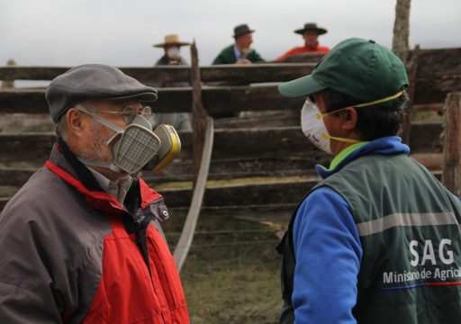 Animal health information_Two veterinarians wearing a face mask analysing an animal health situation