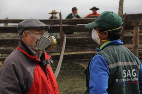 Animal health information_Two veterinarians wearing a face mask analysing an animal health situation