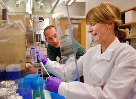 Tackle AMR_ Two Caucasian scientist testing in a laboratory