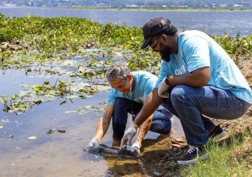 IUCN WOAH guidelines for diseases surveillance_two scientists inspecting aquatic animals in water