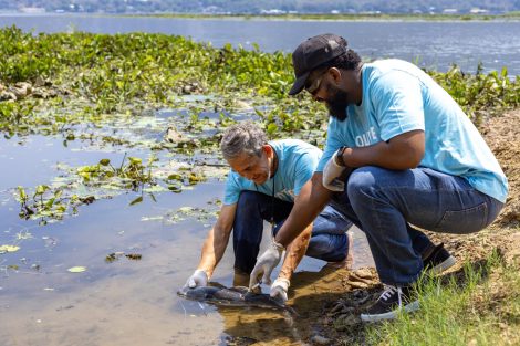 IUCN WOAH guidelines for diseases surveillance_two scientists inspecting aquatic animals in water