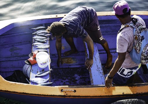 aquatic-animal_two fishermen in a boat attempting to catch fish