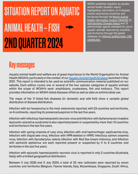 Situation report on aquatic animals 2024_fish