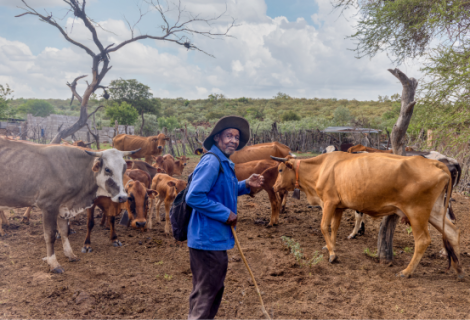 bovine tuberculosis beyond test and control