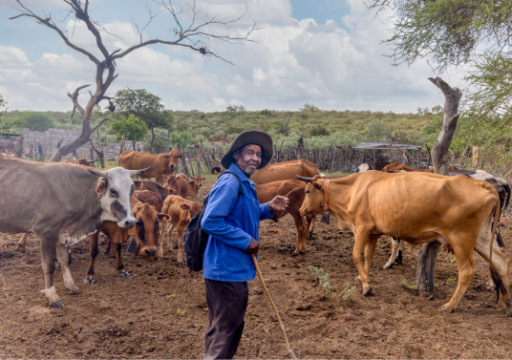 bovine tuberculosis beyond test and control