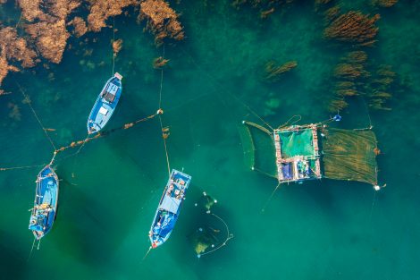 advancing aquaculture research_aerial view of aquaculture WOAH